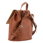 Red Cork backpack for women from back